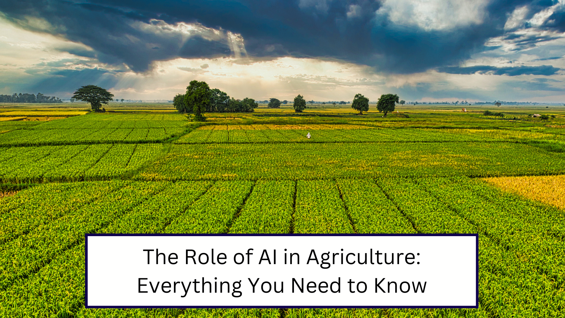 The Role of AI in Agriculture: Everything You Need to Know